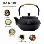 Japanese Cast Iron Teapot w/ Strainer